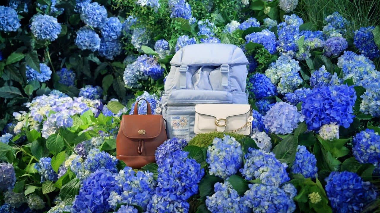 COACH® | Coach | The Summer I Turned Pretty™ Dinky Bag 14