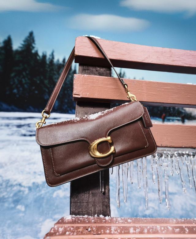 Brown leather Coach shoulder bag with gold hardware hanging on a snow-dusted park bench with icicles.