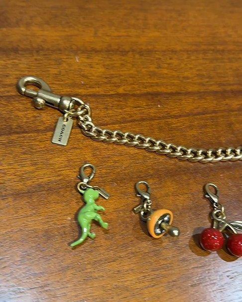 Bag Charms & Bag Accessories | Coach