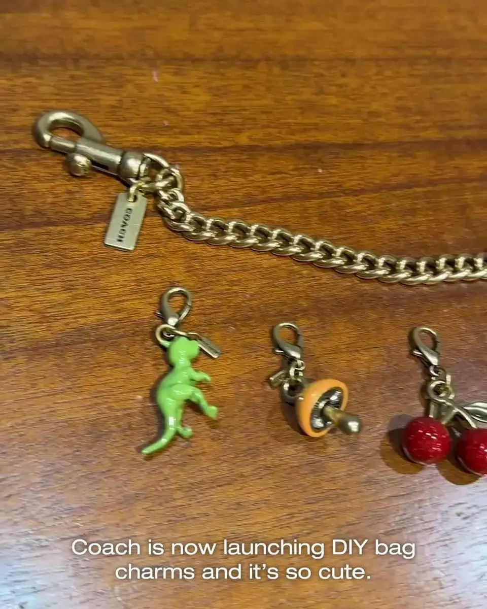DIY Dinosaur Charm | Accessories | Coach | COACH®