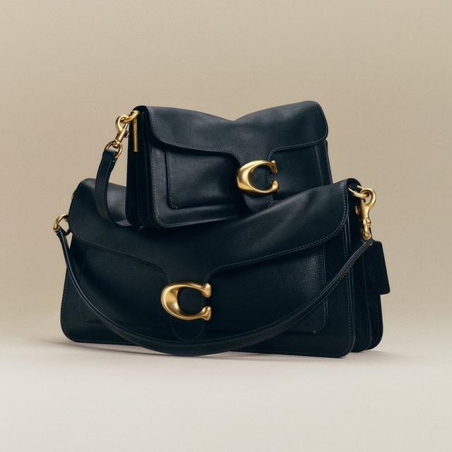 Tabby bags