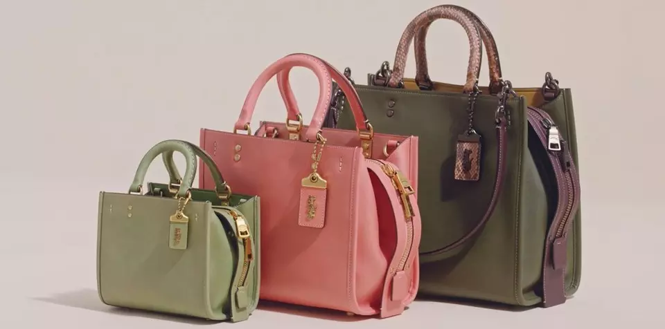 Design Your Rogue | Coach