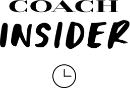early access logo