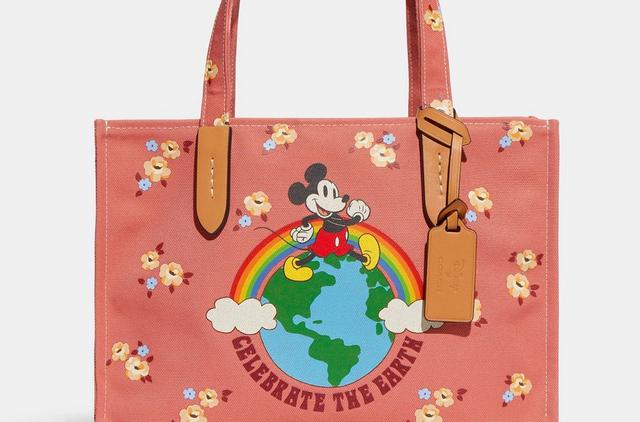 DISNEY X COACH】ディズニー コーチ コラボ コレクティブル ベ | www