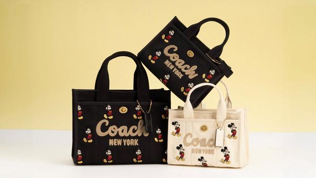 公式】COACH – ディズニーxコーチ コレクション レディース&メンズ 公式】COACH – ディズニーxコーチ コレクション レディース&メンズ