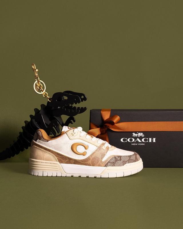 a shoe with a keychain and a dinosaur on it